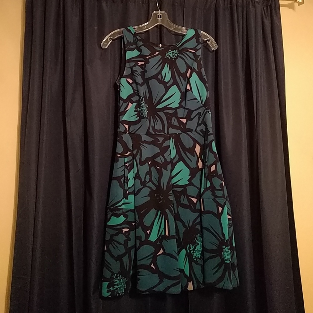 Gorgeous Taylor dress WITH POCKETS